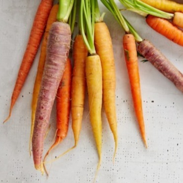 Carrot