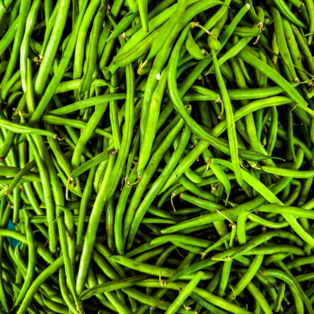 French Bean