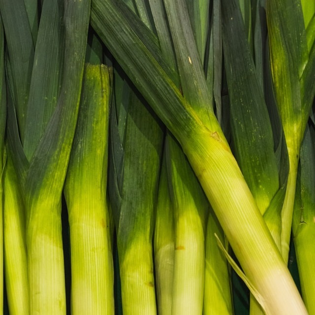 Leek